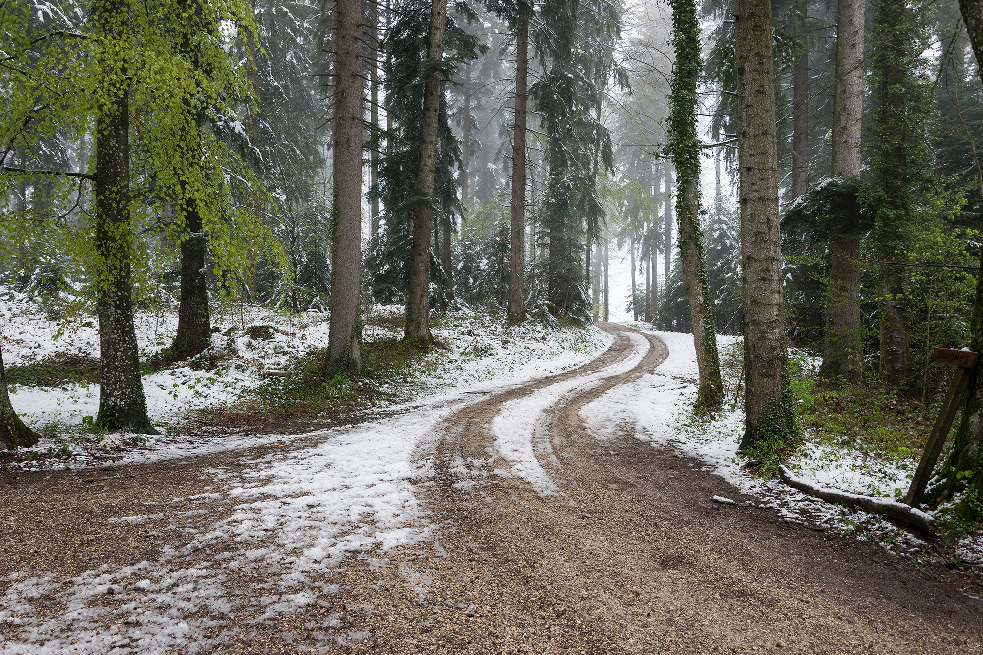 Der Weg ist mit Schnee bedeckt.