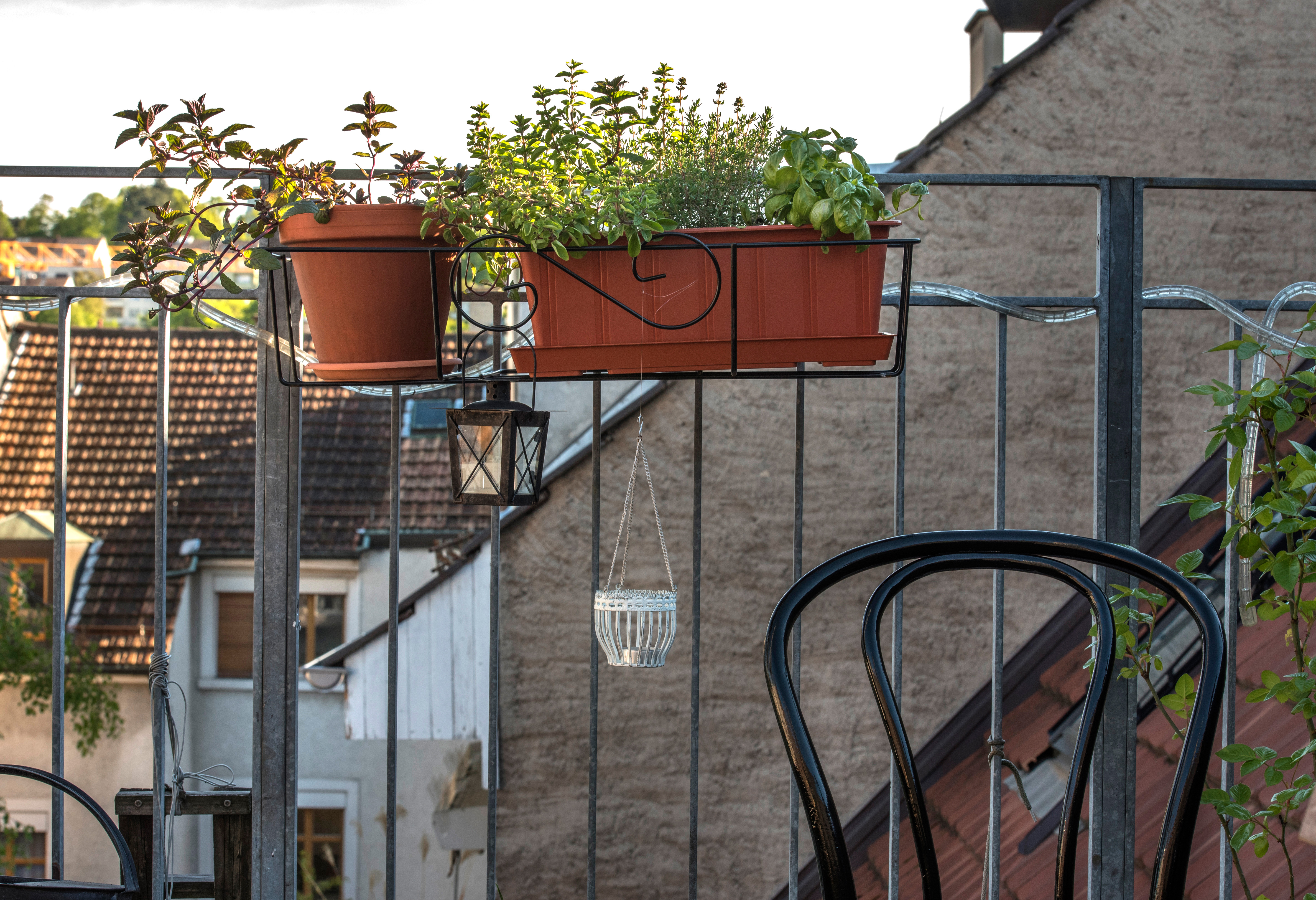 Selbstverständlich dürfen frische Kräuter nicht fehlen.