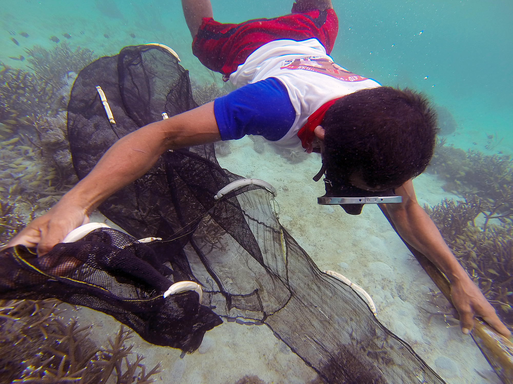 Banggai Fischfang