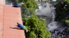 Parrots look on as opposition supporters clash with riot security forces during a rally against President Nicolas Maduro in C