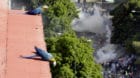 Parrots look on as opposition supporters clash with riot security forces during a rally against President Nicolas Maduro in C