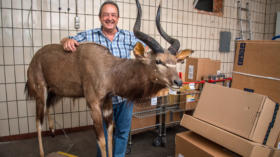 Edgar Geiger nimmt Pakete mit bis zu 1,6 Tonnen Gewicht an.