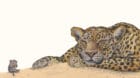 Eine weinende Maus und ein schlafender Leopard: Der Anfang einer Freundschaft zwischen Rigo und Rosa.
