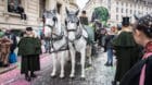 Fasnachtspferde stehen ab dieser Fasnacht unter Ärztlicher Aufsicht.