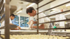 Nach dem Brot kommt das Spritzgebäck dran: Markus Krebs legt in seiner Bäckerei selbst Hand an.