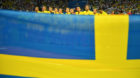 Soccer Football - World Cup - Group F - Germany vs Sweden - Fisht Stadium, Sochi, Russia - June 23, 2018   Sweden players lin