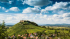 Weinreben und Burg Staufen, dahinter das Rheintal, Staufen im Breisgau, Markgr‰flerland, Schwarzwald, Baden-W¸rttemberg, D
