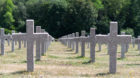 Ein Meer aus Kreuzen: Der französische Friedhof auf dem Hartmannswillerkopf.