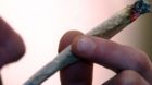 In der Stadt Bern wird vorerst keine wissenschaftliche Studie zum legalen Cannabisverkauf durchgeführt. Der Bund hat das Beg